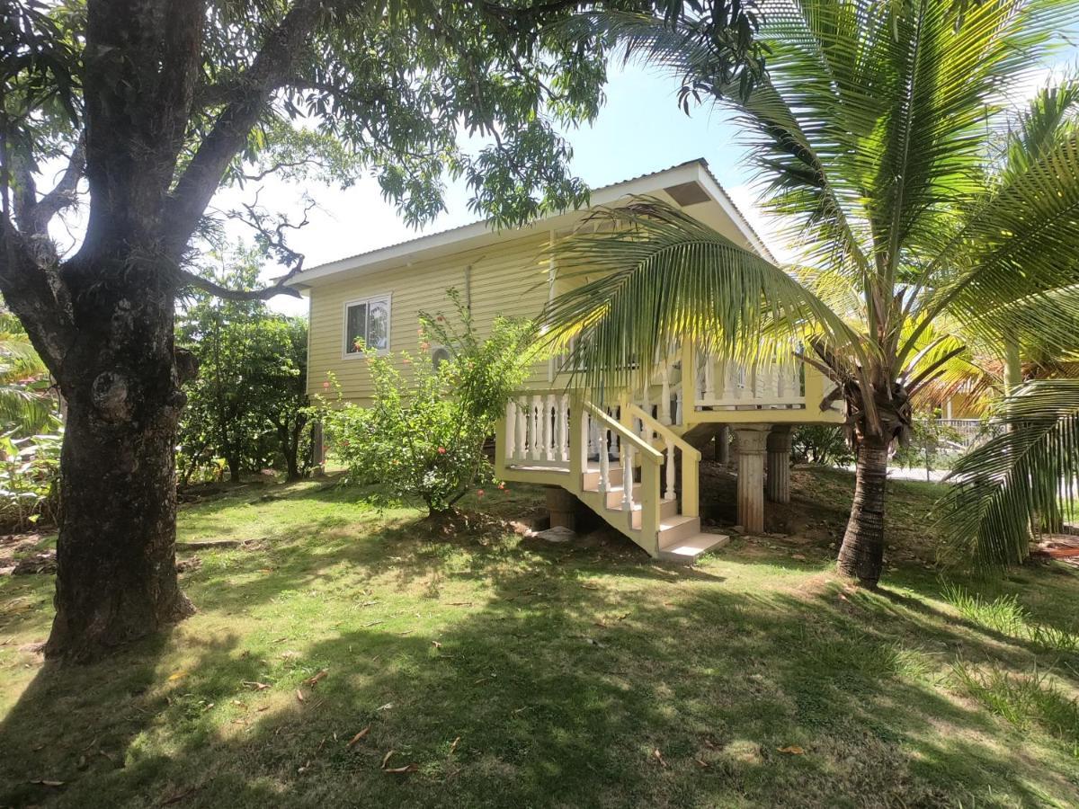 Single-Family Home With Gated Tropical Yard West End Exterior foto